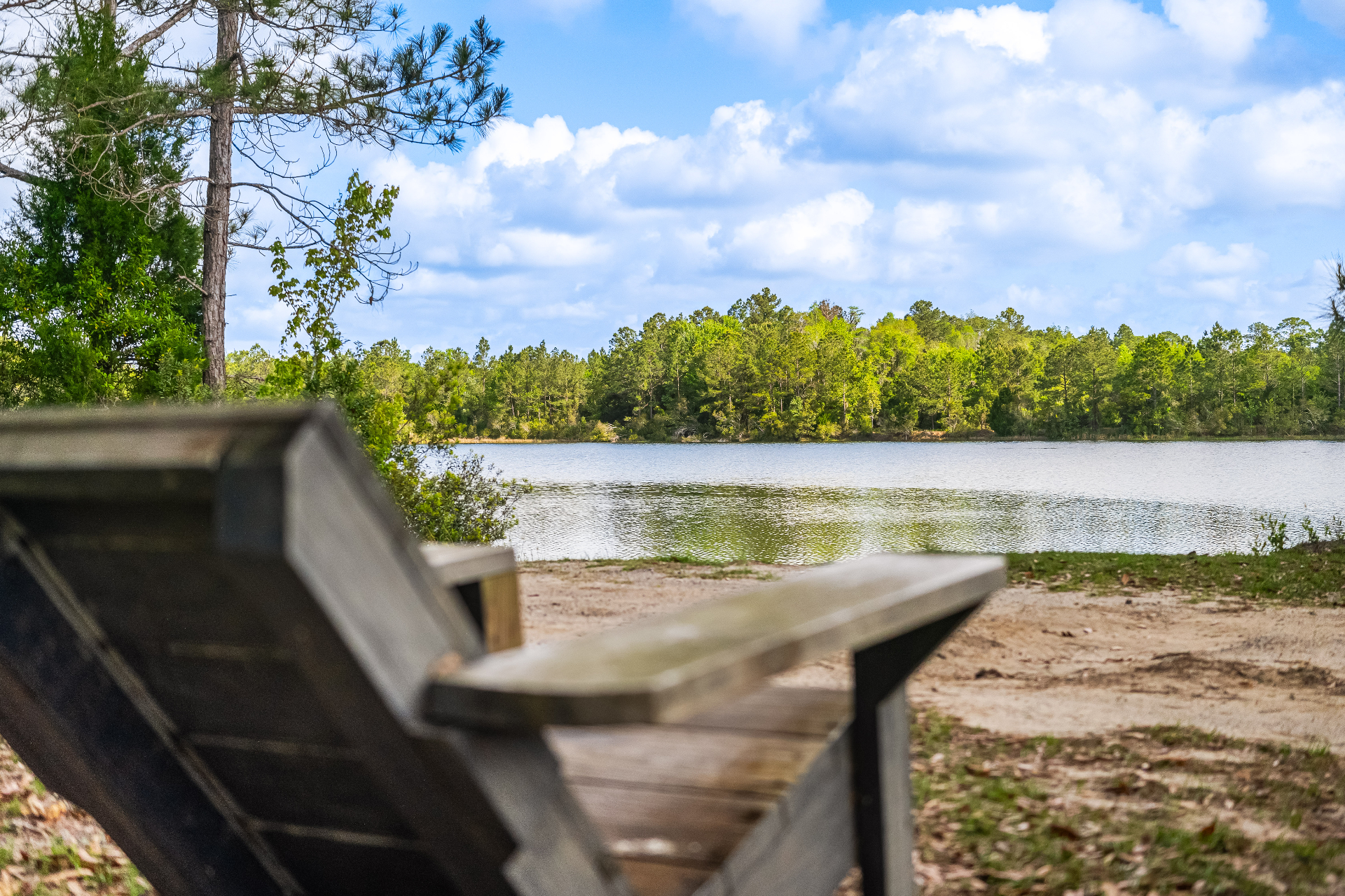 An Adirondack chair at the edge of Terra Lake looking out at the pine-lined far shore