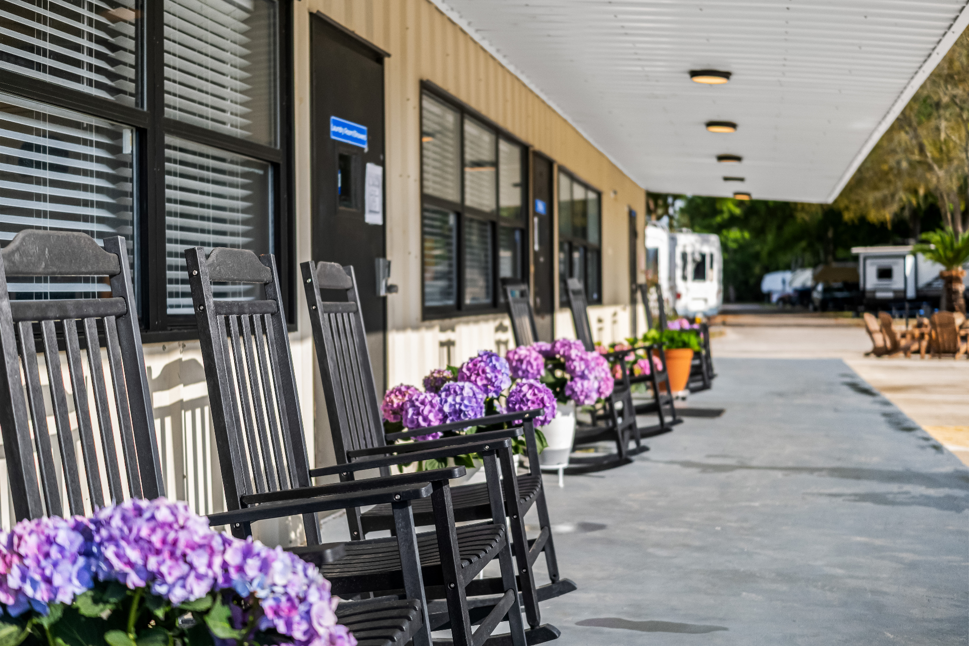 Rocking chairs and hydrangeas along the front porch by the RV sites